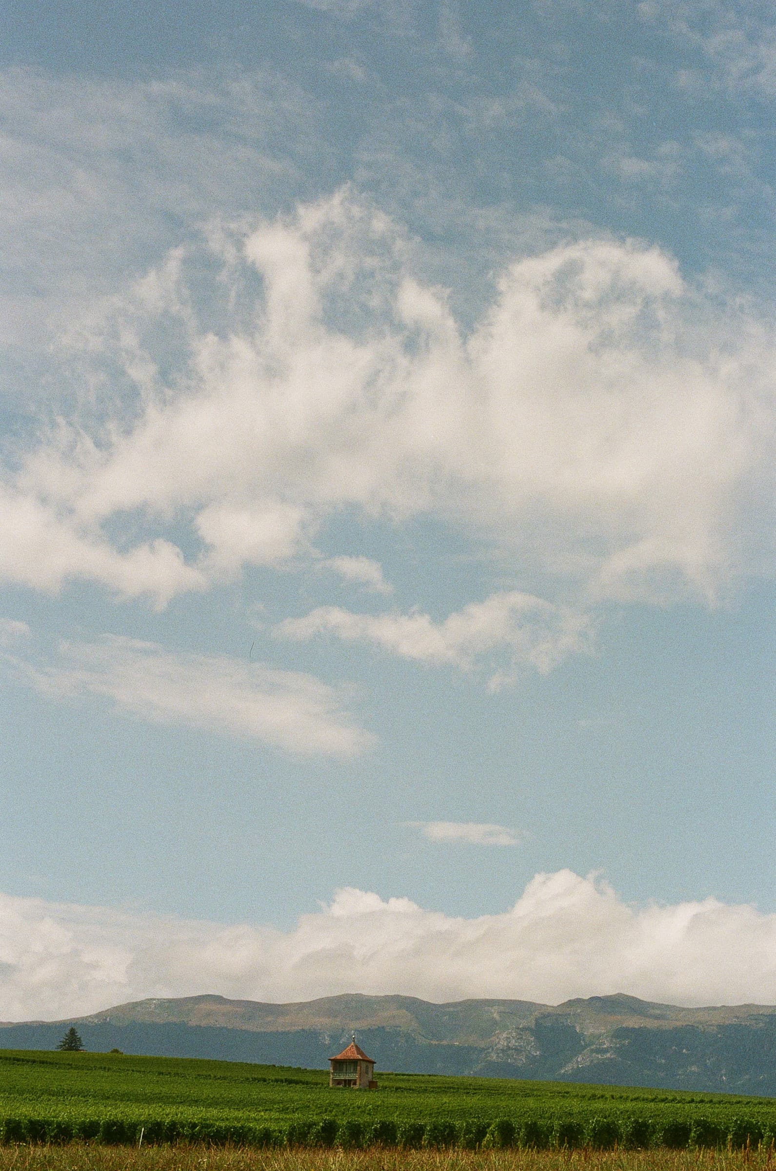 Landscape image of the sky, with a house and wine fields in the lower foreground