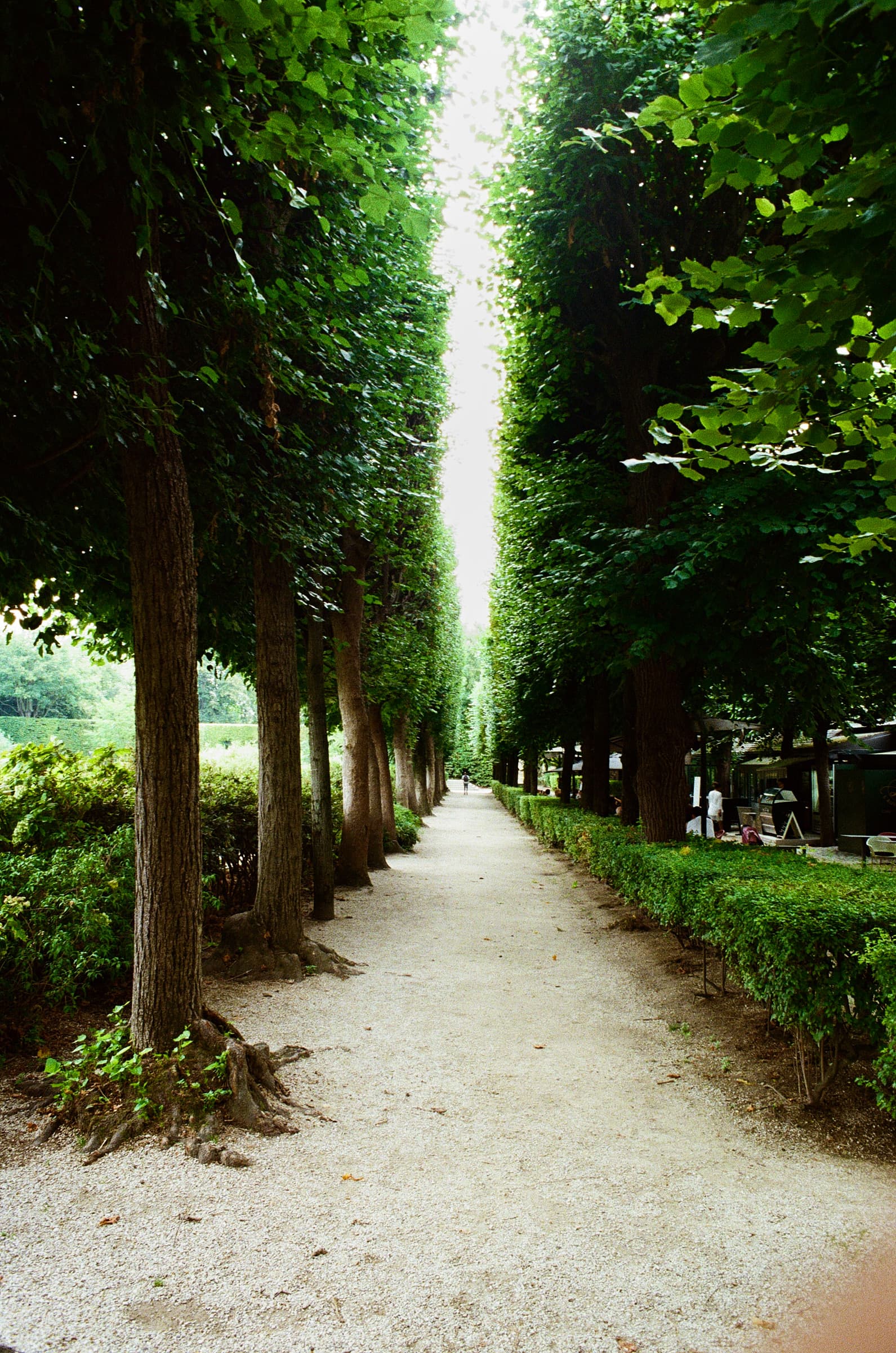 Leading Lines
